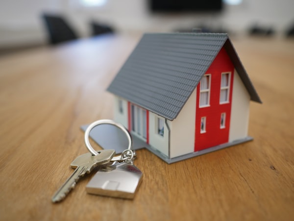 New home after international move
